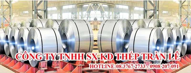 Sản phẩm 6666341640252500 — Công Ty TNHH Sản Xuất Kinh Doanh Thép Trần Lê — MST 0313173258