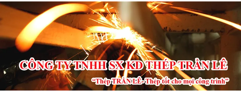 Sản phẩm 971360276560688 — Công Ty TNHH Sản Xuất Kinh Doanh Thép Trần Lê — MST 0313173258