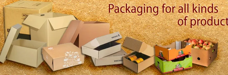 Sản phẩm 768882924172456_1349x507 — Bao Bì Vĩnh Phước - Công Ty CP Bao Bì Vĩnh Phước — MST 0313174967