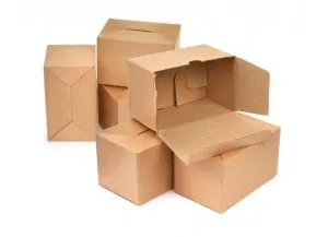 Sản phẩm lotusprint2 5189_269.77380952381x217 — Bao Bì Vĩnh Phước - Công Ty CP Bao Bì Vĩnh Phước — MST 0313174967