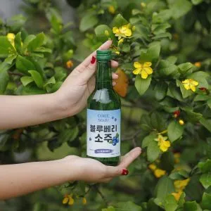 Sản phẩm dia chi mua soju nhap khau 300x300 — Công Ty TNHH Thương Mại Và Đầu Tư Sài Gòn Hoàng Kim — MST 0313175865