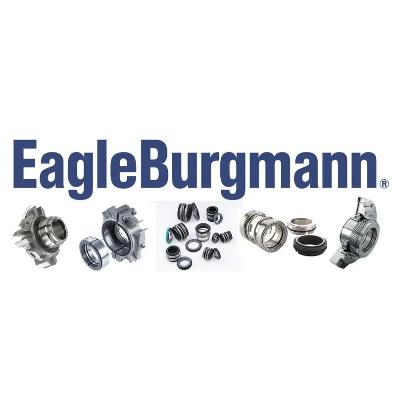 Sản phẩm Eagle Burgmann — Công Ty TNHH Thương Mại Kỹ Thuật Công Nghiệp Song Long — MST 0313176227