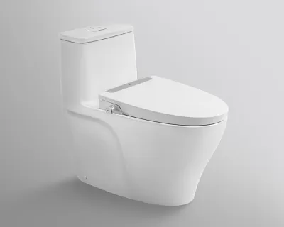 Sản phẩm ac 989+cw s32vn2910_400x320 — Thiết Bị Vệ Sinh Thiên Lộc - Công Ty TNHH Tư Vấn TM DV Thiên Lộc — MST 0313190359