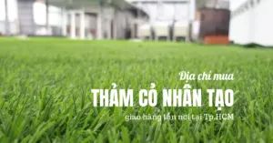 Sản phẩm mua tham co nhan tao tphcm 300x157 — Công Ty TNHH Sản Xuất Thương Mại Và Đầu Tư Thiên Thành — MST 0313192765