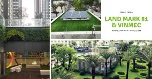Sản phẩm tham co nhan tao landmark81 anh dai dien 300x157 — Công Ty TNHH Sản Xuất Thương Mại Và Đầu Tư Thiên Thành — MST 0313192765