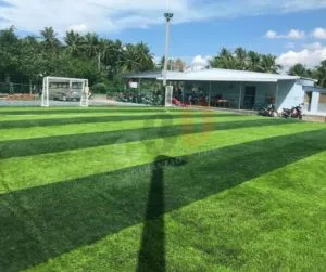 Sản phẩm thi cong san bong co nhan tao ben tre14 300x251 — Công Ty TNHH Sản Xuất Thương Mại Và Đầu Tư Thiên Thành — MST 0313192765