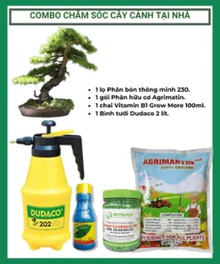 Sản phẩm combo cham soc cay canh tai nha 1 247x296 — Công Ty TNHH Làng Hoa Gò Vấp — MST 0313200173