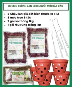 Sản phẩm combo trong lan cho nguoi moi bat dau 247x296 — Công Ty TNHH Làng Hoa Gò Vấp — MST 0313200173