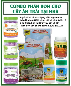 Sản phẩm combo phan bon cay an trai — Công Ty TNHH Làng Hoa Gò Vấp — MST 0313200173