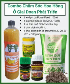 Sản phẩm combo cham soc hong 247x296 — Công Ty TNHH Làng Hoa Gò Vấp — MST 0313200173