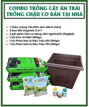 Sản phẩm combo trong cay an trai trong chau co ban tai nha — Công Ty TNHH Làng Hoa Gò Vấp — MST 0313200173