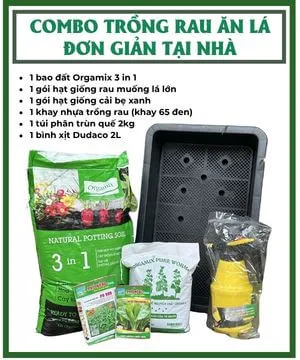 Sản phẩm combo trong rau an la don gian tai nha — Công Ty TNHH Làng Hoa Gò Vấp — MST 0313200173