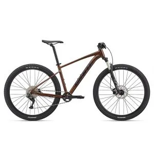 Sản phẩm xe dap dia hinh mtb giant talon 29 1 phanh dia banh 29 inches 2022 300x300 — Xe Đạp DAVI - Công Ty Cổ Phần Sản Xuất Thương Mại Xe Đạp Và Xe Điện DAVI — MST 0313205083