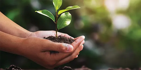 Sản phẩm immago sustainable solutions — Công Ty TNHH Immago (VietNam) (NT) — MST 0313205686