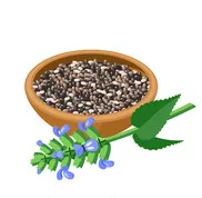 Sản phẩm aa — Công Ty TNHH Thương Mại Xuất Nhập Khẩu Quốc Tế Việt Tam Anh — MST 0313217723