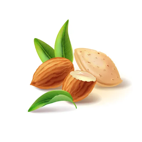 Sản phẩm tx hanhnhan — Công Ty TNHH Thương Mại Xuất Nhập Khẩu Quốc Tế Việt Tam Anh — MST 0313217723