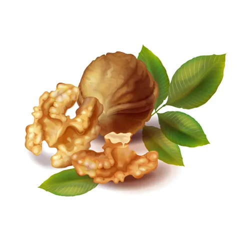 Sản phẩm tx oc — Công Ty TNHH Thương Mại Xuất Nhập Khẩu Quốc Tế Việt Tam Anh — MST 0313217723