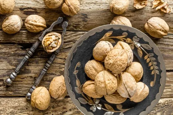 Sản phẩm cong dung cua qua oc cho doi voi suc khoe4 — Công Ty TNHH Thương Mại Xuất Nhập Khẩu Quốc Tế Việt Tam Anh — MST 0313217723