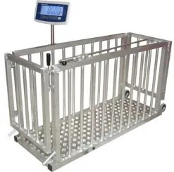 Sản phẩm unnamed 247x245 — Cân Thịnh Tiến - Công Ty TNHH Cân Điện Tử Thịnh Tiến — MST 0313218572