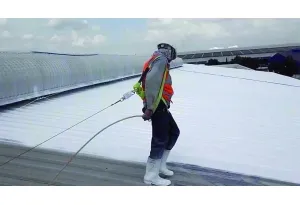 Nhà máy Công Ty TNHH Thương Mại Dịch Vụ Trung Phu #1 — MST 0313220469