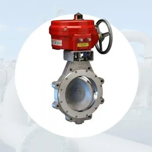 Sản phẩm Van buom danh muc 2 300x300 — Công Ty TNHH Thiết Bị Công Nghiệp An Thịnh Phát — MST 0313233235
