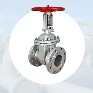 Sản phẩm Van cong gate valve 300x300 — Công Ty TNHH Thiết Bị Công Nghiệp An Thịnh Phát — MST 0313233235