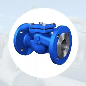 Sản phẩm Van mot chieu dm 300x300 — Công Ty TNHH Thiết Bị Công Nghiệp An Thịnh Phát — MST 0313233235