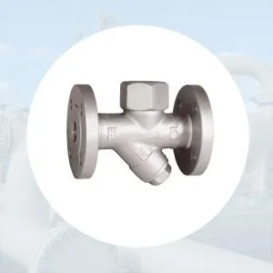 Sản phẩm Bay hoi dong tien dm 300x300 — Công Ty TNHH Thiết Bị Công Nghiệp An Thịnh Phát — MST 0313233235