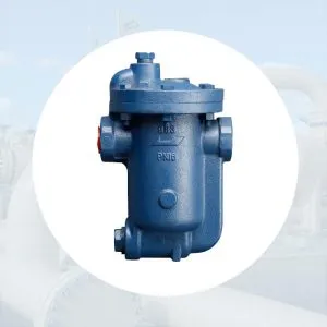 Sản phẩm Bay hoi gau nguoc dm 300x300 — Công Ty TNHH Thiết Bị Công Nghiệp An Thịnh Phát — MST 0313233235