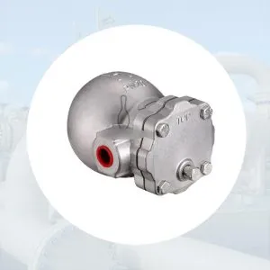Sản phẩm Bay hoi phao dm 300x300 — Công Ty TNHH Thiết Bị Công Nghiệp An Thịnh Phát — MST 0313233235