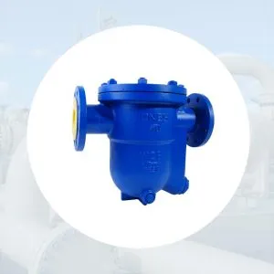 Sản phẩm Bay hoi phao tu do dm 300x300 — Công Ty TNHH Thiết Bị Công Nghiệp An Thịnh Phát — MST 0313233235