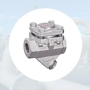 Sản phẩm Bay hoi tinh nhiet dm 300x300 — Công Ty TNHH Thiết Bị Công Nghiệp An Thịnh Phát — MST 0313233235