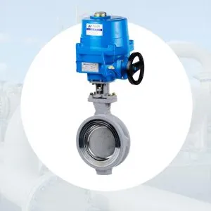 Sản phẩm Van buom dk dien dm 300x300 — Công Ty TNHH Thiết Bị Công Nghiệp An Thịnh Phát — MST 0313233235
