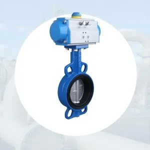Sản phẩm Van buom dk khi nen 300x300 — Công Ty TNHH Thiết Bị Công Nghiệp An Thịnh Phát — MST 0313233235