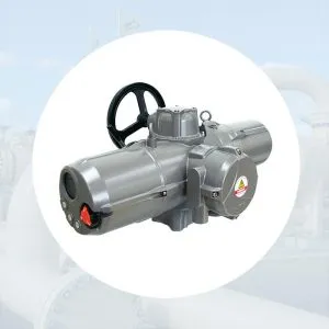 Sản phẩm Hinh danh muc NAOH MA Series 300x300 — Công Ty TNHH Thiết Bị Công Nghiệp An Thịnh Phát — MST 0313233235