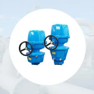 Sản phẩm Hinh danh muc NAOH SR Series 300x300 — Công Ty TNHH Thiết Bị Công Nghiệp An Thịnh Phát — MST 0313233235