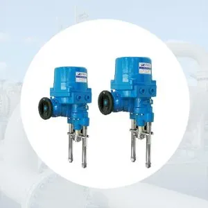 Sản phẩm Hinh danh muc naoh sl sn 300x300 — Công Ty TNHH Thiết Bị Công Nghiệp An Thịnh Phát — MST 0313233235