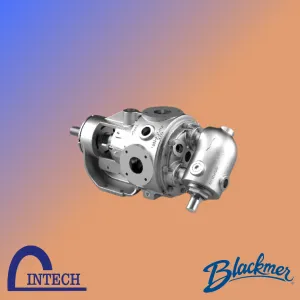Sản phẩm 1 300x300 — Máy Bơm Intech - Công Ty TNHH Intech Pumps Việt Nam — MST 0313236596