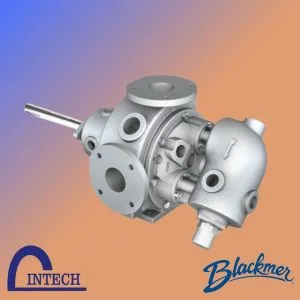 Sản phẩm gear v 1 300x300 — Máy Bơm Intech - Công Ty TNHH Intech Pumps Việt Nam — MST 0313236596