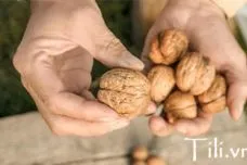 Sản phẩm 60057 — Công Ty TNHH Thương Mại Dịch Vụ TILI — MST 0313237617