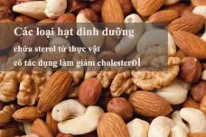 Sản phẩm 97199 — Công Ty TNHH Thương Mại Dịch Vụ TILI — MST 0313237617