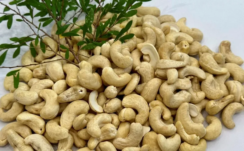 Sản phẩm cashew kernels — Công Ty TNHH Sản Xuất Thương Mại Dịch Vụ PL — MST 0313238970