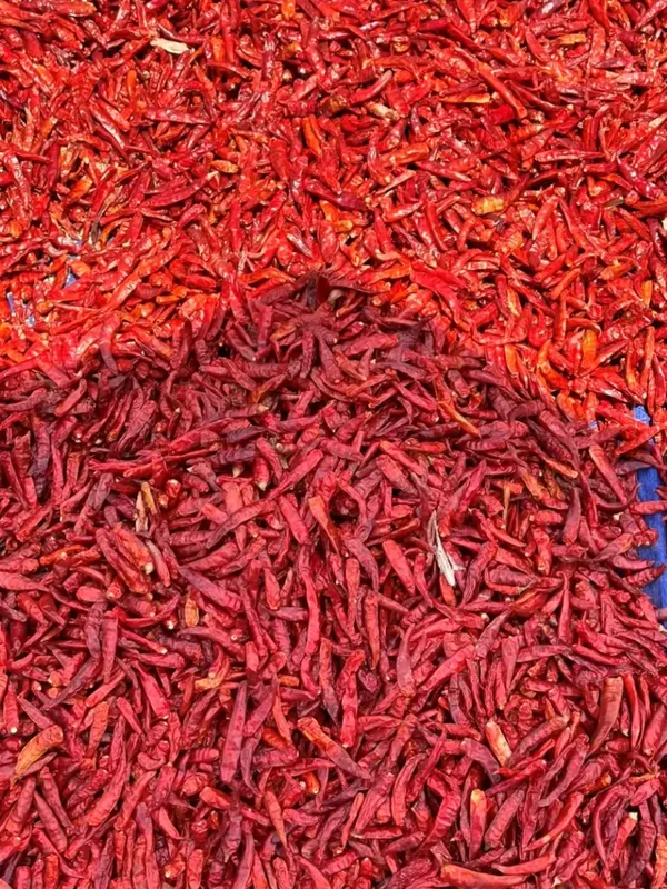 Sản phẩm chili 6 768x1024 — Công Ty TNHH Sản Xuất Thương Mại Dịch Vụ PL — MST 0313238970