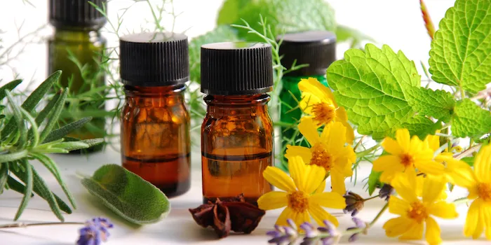 Sản phẩm chai tinh dầu — Thủy Tinh Đăng Lê - Công Ty TNHH Thủy Tinh Đăng Lê — MST 0313245657