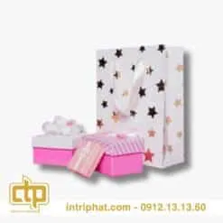 Sản phẩm tui giay dung qua 01 247x247 — Công Ty Cổ Phần In Bao Bì Trí Phát — MST 0313258247