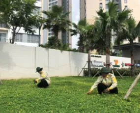Sản phẩm cscq9632_285x230 — Công Ty TNHH Cảnh Quan ý Tưởng Mới — MST 0313259233