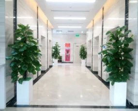 Sản phẩm dvcx8817_285x230 — Công Ty TNHH Cảnh Quan ý Tưởng Mới — MST 0313259233