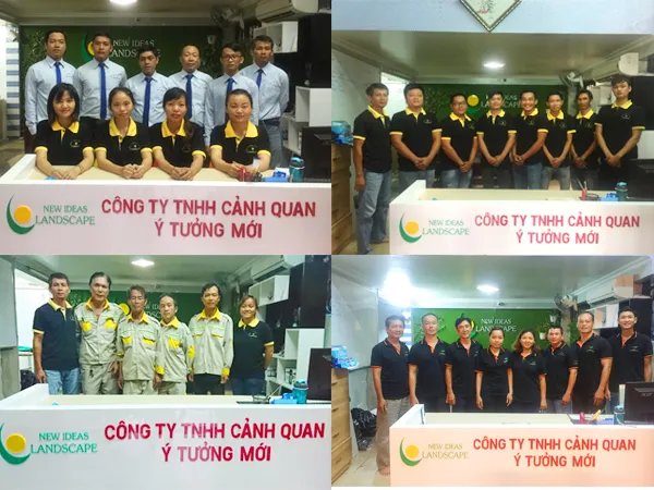 Sản phẩm gioi thieu nis landscape 6367 — Công Ty TNHH Cảnh Quan ý Tưởng Mới — MST 0313259233
