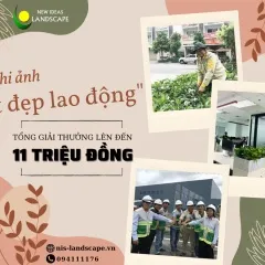 Sản phẩm z3258677759533_02ba9dc3c1482eaed91a7112cdf77604 0921 — Công Ty TNHH Cảnh Quan ý Tưởng Mới — MST 0313259233