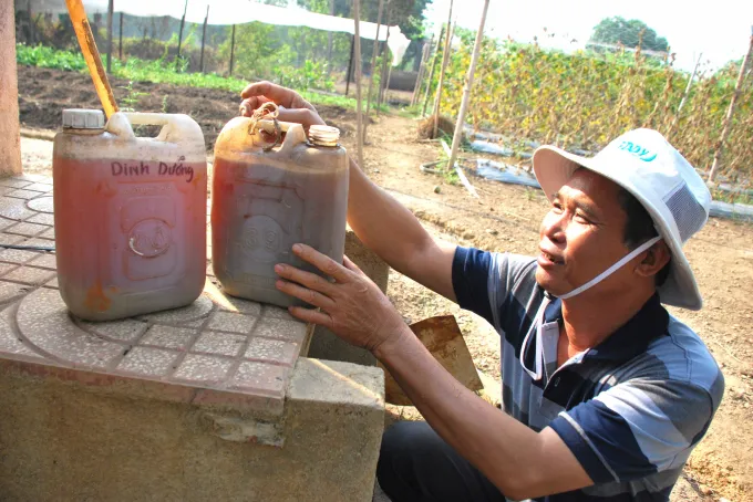 Sản phẩm 03764946 — Công Ty Cổ Phần Nông Nghiệp Đông Phương — MST 0313261666